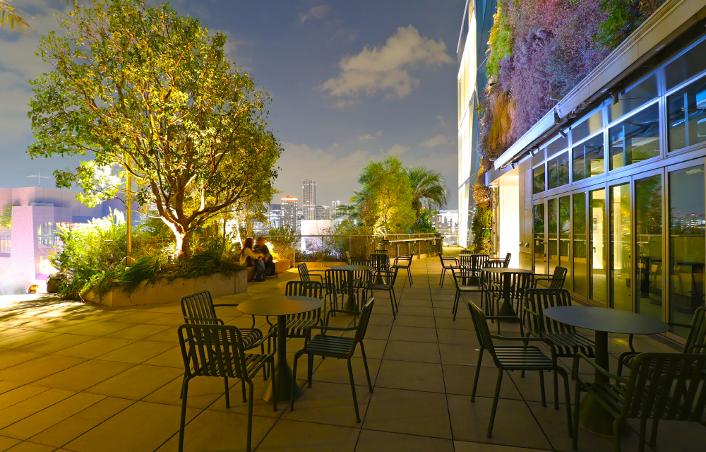 原宿セントラル食堂 写真