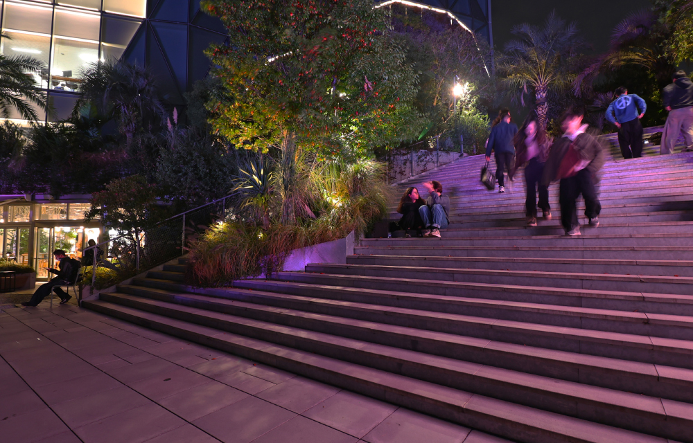 原宿セントラル食堂 写真